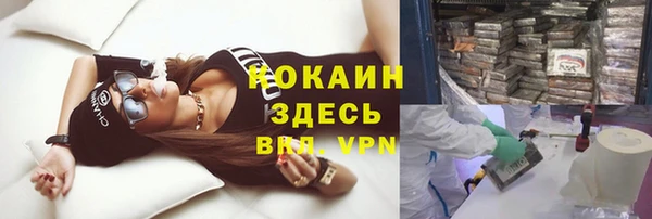 PSILOCYBIN Армянск