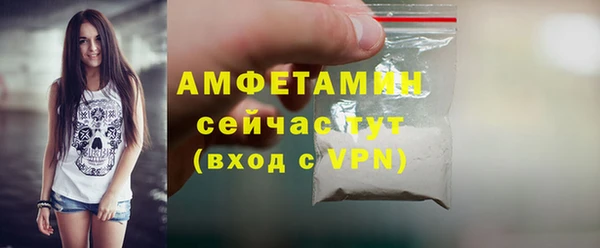сатива Сосновый Бор