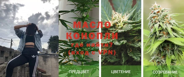 стаф Абдулино