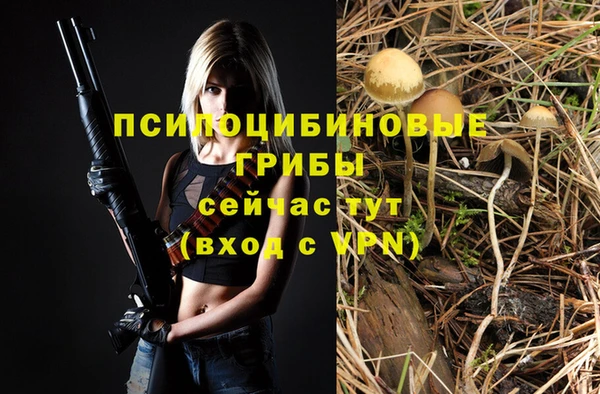 PSILOCYBIN Армянск