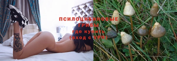 PSILOCYBIN Армянск
