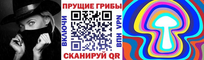 как найти закладки  Устюжна  Псилоцибиновые грибы прущие грибы 